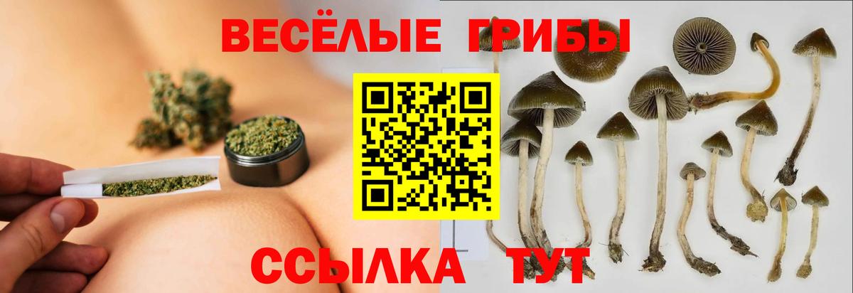 Тутаев  Галлюциногенные грибы ЛСД  Вход с VPN 